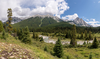 Fototapeta na wymiar Bow Valley Parkway, Banff National Park, Alberta, Canada