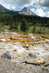 Bow Valley Parkway, Banff National Park, Alberta, Canada