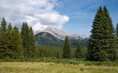 Bow Valley Parkway, Banff National Park, Alberta, Canada