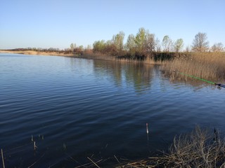 reflection of trees in water