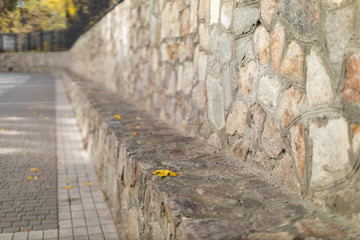 Autumn city street where there is a granite stone wall and tile sidewalk. Background image, there is a place for text.