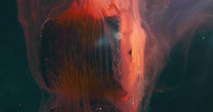 Text SEX. Art Colourful Object in Liquids. Macro.