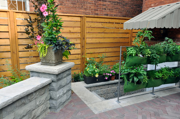 Fototapeta na wymiar An elegant urban backyard garden with extensive landscaping includes a herringbone pattern brick walkway, basement apartment walkout, living wall with herbs, and a seat wall with natural stone coping.