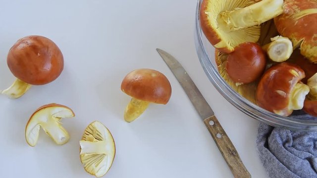 Cooking Amanita caesarea (known as Caesar's mushroom). Highly regarded edible mushroom 