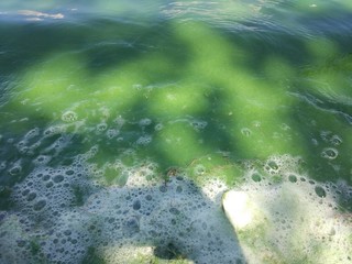 green water in the river