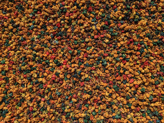 Background colorful flower aromatic dry, health herbal textured.