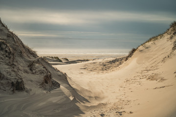 Dünen auf Amrum