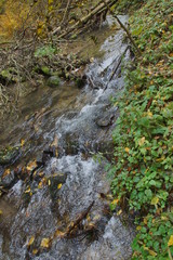 Rezerwat Dolina Racławki