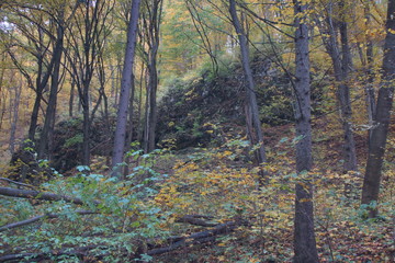 Rezerwat Dolina Racławki