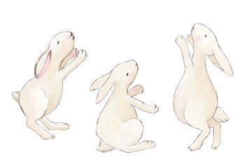 Cute little hare. Clip art set, positive individual elements kit on white