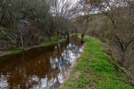 MOLINO DE AGUA HARINA PRESA DE AGUA