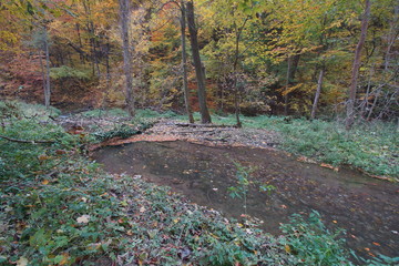 Rezerwat Dolina Racławki