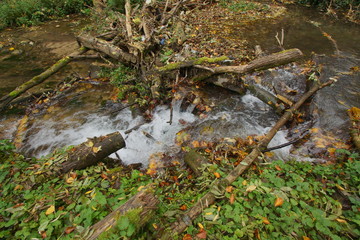 Rezerwat Dolina Racławki