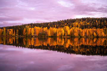Autumn Colors in Rovaniemi