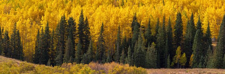 Autumn Pano