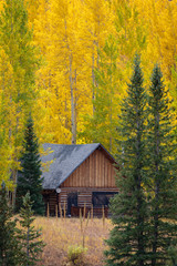 Fototapeta na wymiar Autumn Cabin