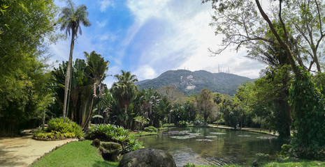 Beautiful lake view in the botanical garden of Rio de Janeiro city, Brazil