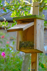 geöffneter Vogelkasten mit leerem Nest
