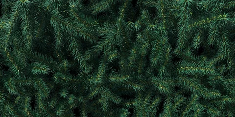 Foto op Canvas Background of Christmas tree branches. Happy New Year green theme background. 3d rendering. © Yury