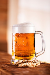 Beer With Wheat On Wooden Table