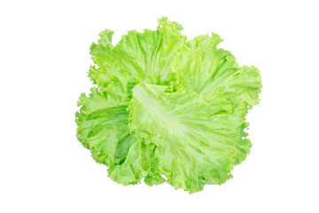Salad leaf. Lettuce isolated on white background with clipping path.