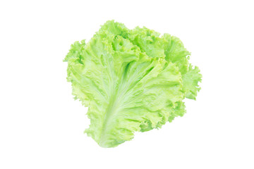 Salad leaf. Lettuce isolated on white background with clipping path.