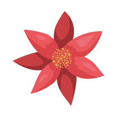 Fototapeta premium beauty christmas flower decorative icon