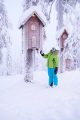 Skiing and recreation. A girl stands near a tree and decorative ornaments, birdhouse. . Large snowdrifts, snowy trees and bright sun