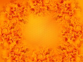 empty oval frame of tagetes marigold orange flowers