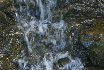mountain cold crystal clear brook in Swiss Alps