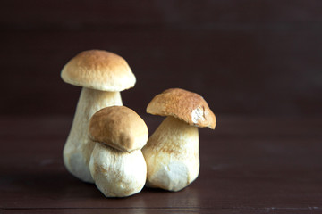 Three fresh ceps of different sizes stand on a brown wooden background. Three mushrooms