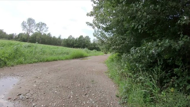 dirt road in the countryside next to Baio Dora village (municipality of Borgofranco d'Ivrea), Torino, region Piemonte, Italy