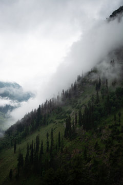 Foggy mountain