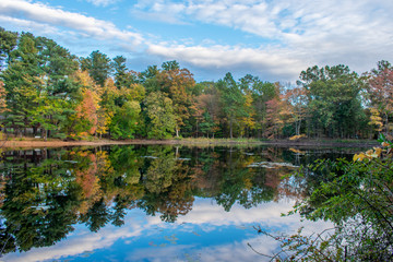 Fototapeta na wymiar Fall on a still pond