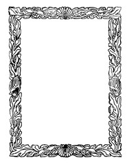 Seashell Border is decorated with seaweed all around vintage engraving. © Morphart