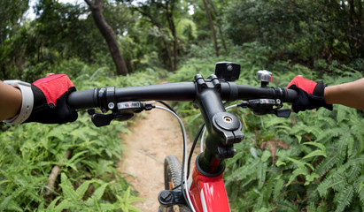 Fototapeta na wymiar Cross country biking cyclist riding mountain bike on tropical rainforest trail