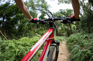 Cross country biking cyclist riding mountain bike on tropical rainforest trail