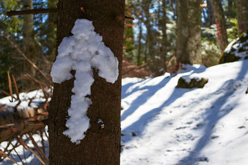 Snow arrow pointing Forward on a tree trunk, in Winter.