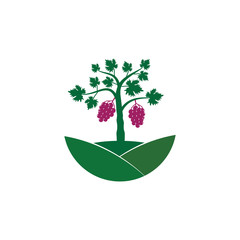 grape vine fruit plant in the middle of hill vector logo design illustration