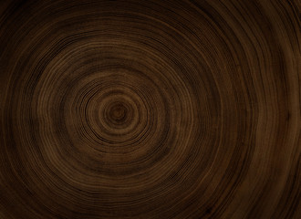 Fototapeta na wymiar Detailed warm dark brown and orange tones of a felled tree trunk or stump. Rough organic texture of tree rings with close up of end grain.