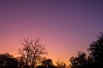 Fototapeta na wymiar beautiful sunset