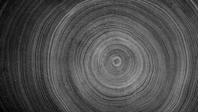 Free Images : black and white, structure, texture, floor, asphalt, pattern,  line, darkness, circle, background, design, woodchip, wallpaper, shape,  flooring, monochrome photography 4000x6000 - - 1021820 - Free stock photos  - PxHere