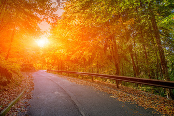 Naklejka premium bend in mountain road in the forest