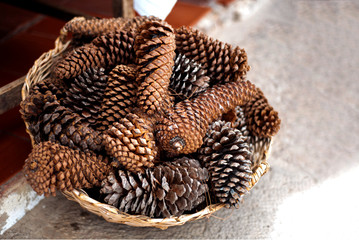 Naklejka na ściany i meble pine cones in a basket
