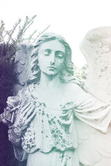 Vintage sad angel on a cemetery against the trees and leaves background. Holy angel.
