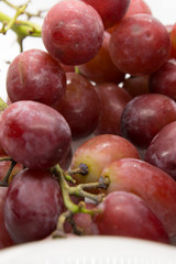 This is a photograph of Red Grapes isolated on a White background