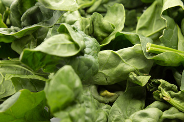 This is a photograph of fresh baby Spinach