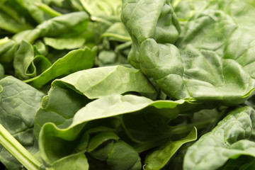 This is a photograph of fresh baby Spinach