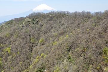 早春の丹沢山地の向こうに富士山