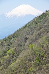 早春の丹沢山地に富士山